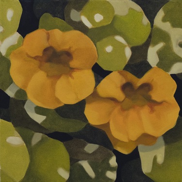 Max Berry - Yellow Flowers, 40x40