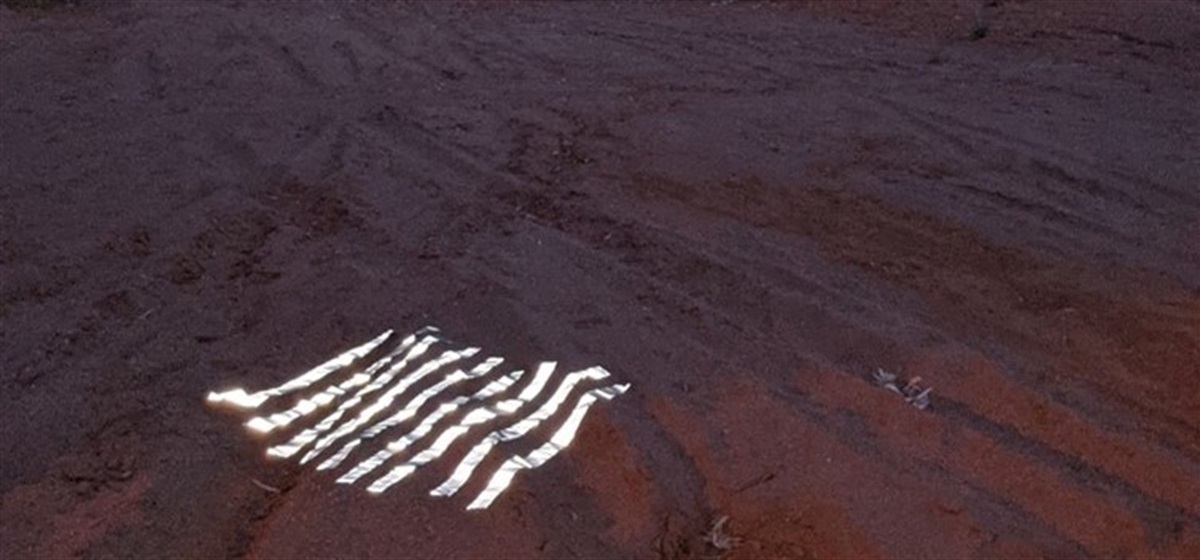 MeaganStreader image of installation in creekbed